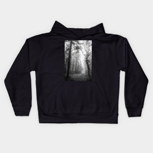 A way through a foggy wood Kids Hoodie